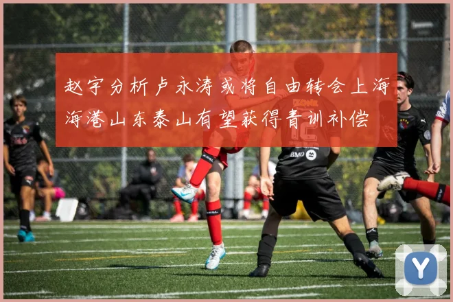 赵宇分析卢永涛或将自由转会上海海港山东泰山有望获得青训补偿
