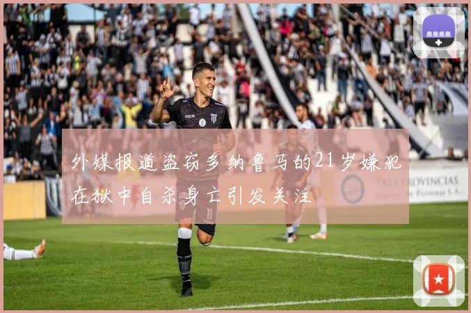 外媒报道盗窃多纳鲁马的21岁嫌犯在狱中自杀身亡引发关注