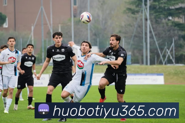 火博体育平台生态图